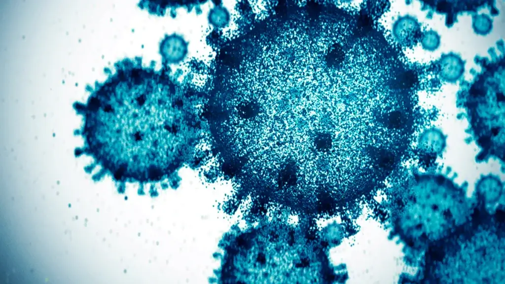 covid19 virus
