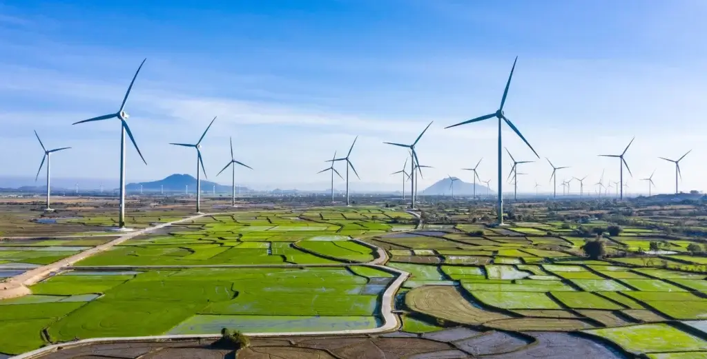 một trang trại điện gió ở Việt Nam